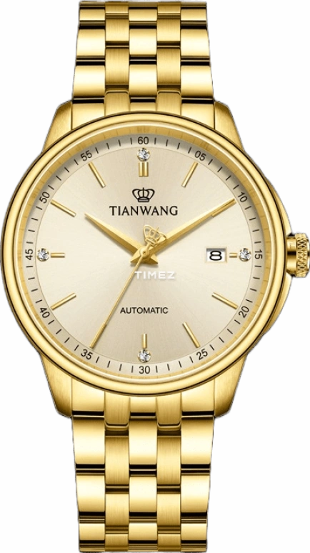 TianWang Permanent GS51172G.D.G.G
