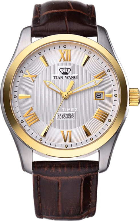 TianWang,Other ,Stainless Steel,White,Automatic,Day,Crystal Glass,GS5749T,GS5749T/D