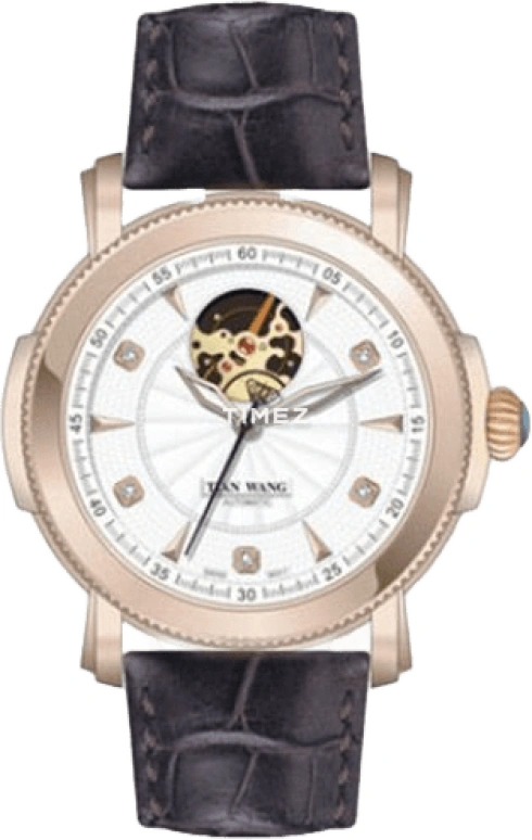 TianWang Elite 8999