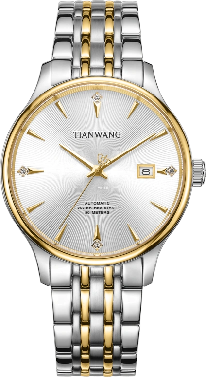 TianWang Other GS51379T.D.T.S