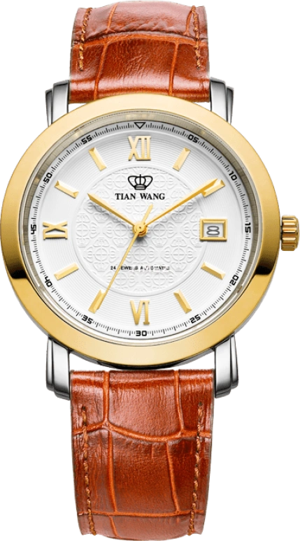 TianWang Golden Knight 81668