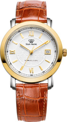 TianWang Golden Knight 81668