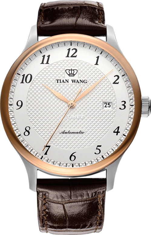 TianWang Other GS5877TP/D-1
