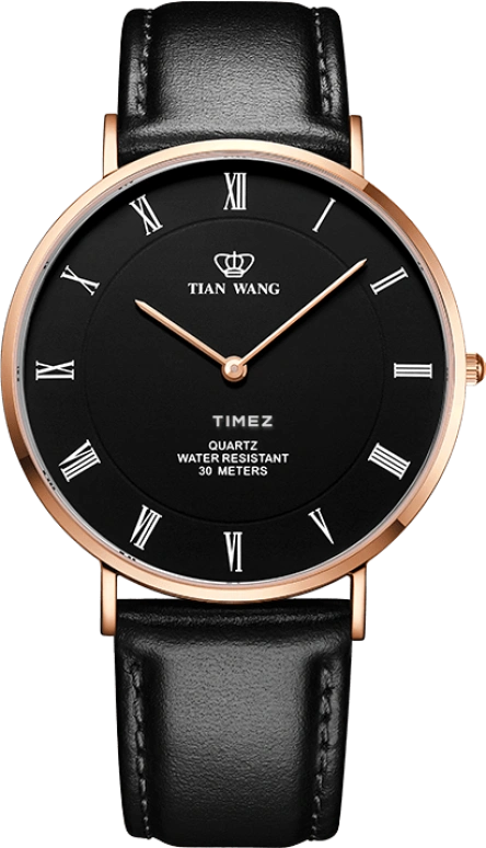 TianWang TWINKLE GS3970P-B