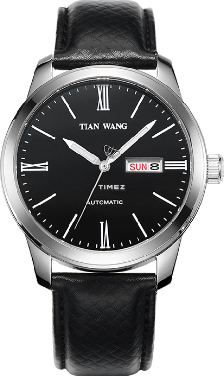 TianWang Other GS5849S/DD-B