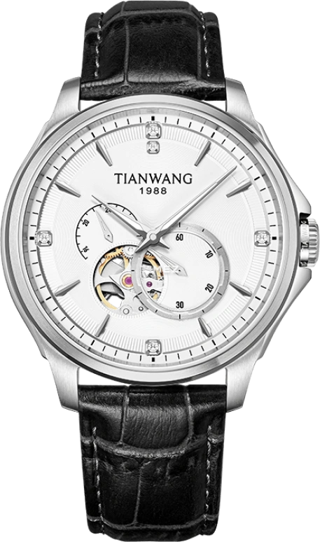 TianWang,Other 43mm,43mm,Stainless Steel,Silver White,Automatic,Sapphire,Round,GS51540S,GS51540S.DD.LB.S