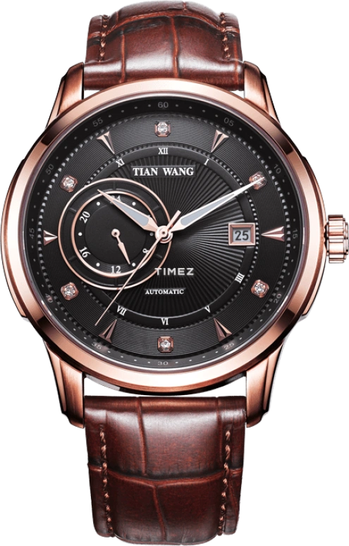 TianWang,Round Times ,Stainless Steel,Black,Automatic,Day,Dule Time,GS5738P,GS5738P/DD
