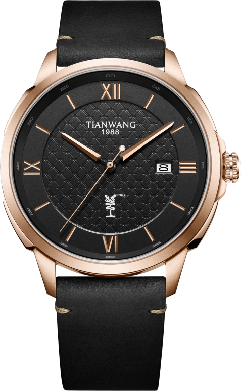 TianWang,Grand Vision 42mm,42mm,Stainless Steel,Black,Automatic,Day,Crystal Glass,GS51508P,GS51508P.D.LB.B