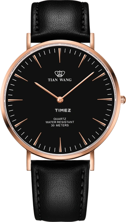 TianWang TWINKLE GS3969P-B