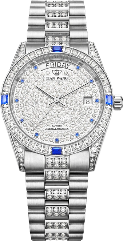 TianWang,Famous Anisan ,Stainless Steel,Silver,Automatic,Date,Day,GS5613S,GS5613S/DD