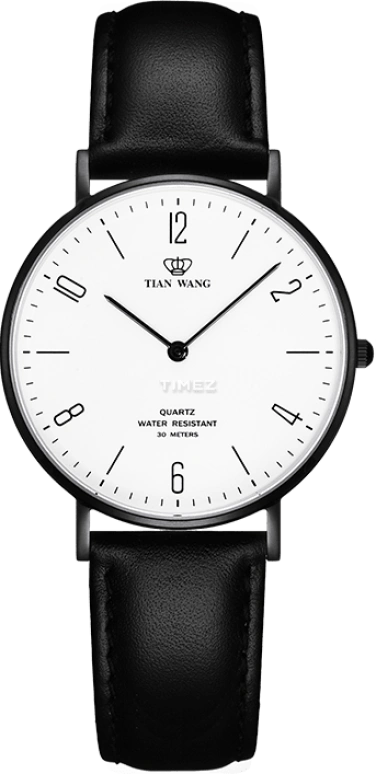 TianWang TWINKLE LS3911B