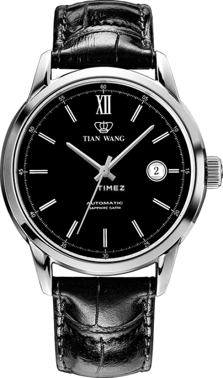 TianWang,Other ,Stainless Steel,Black,Automatic,Day,Sapphire,Glass,GS5920S,GS5920S/D