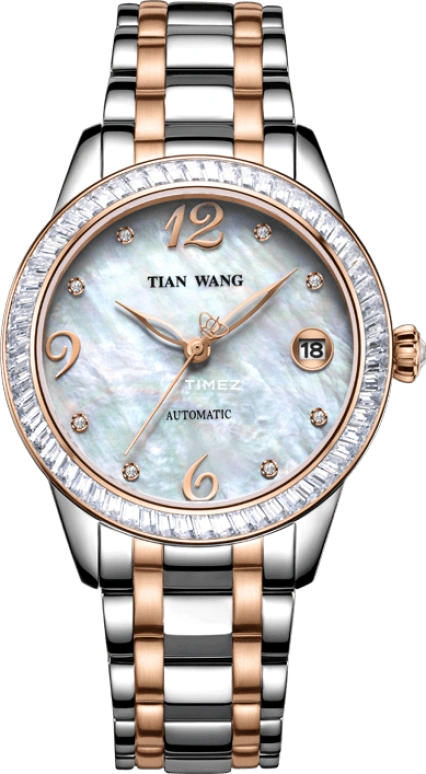 TianWang Shine LS5866TP/D-A