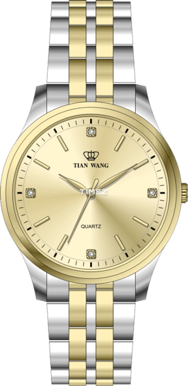 TianWang Other GS3603T