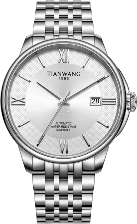 TianWang Permanent GS51310S.D.S.W