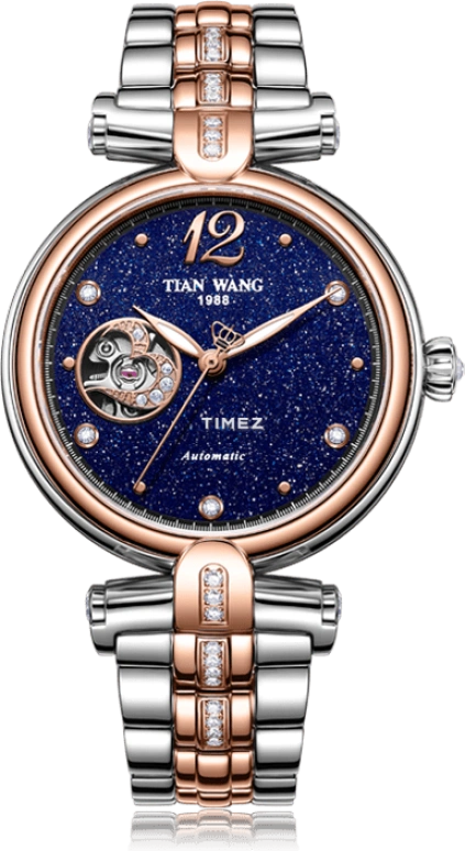 TianWang Shine LS5984TP.TP.U-1