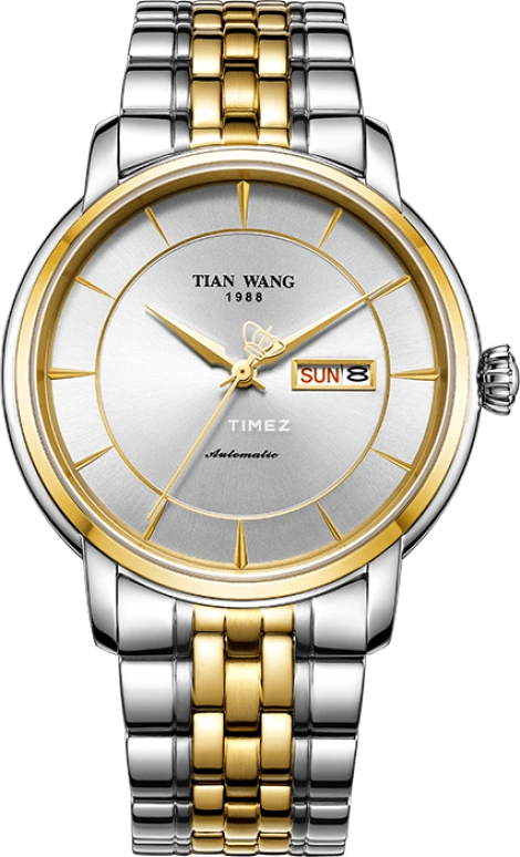 TianWang Permanent GS5938T.DD.T.W