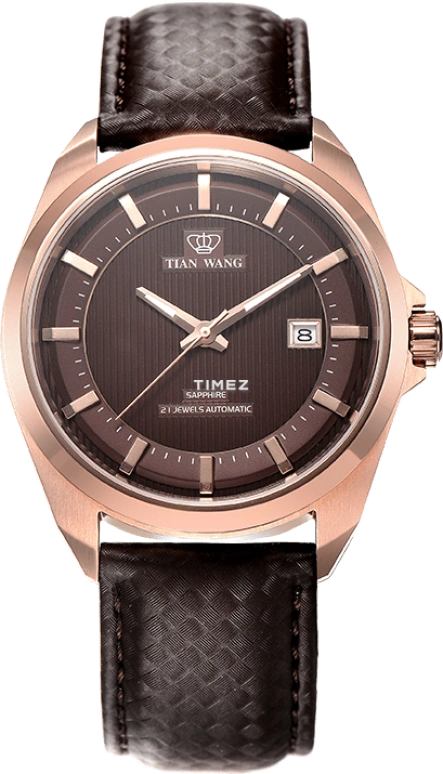 TianWang,Other ,Stainless Steel,Coffee,Automatic,Day,Sapphire,Glass,GS5789P,GS5789P/D