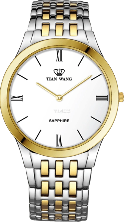 TianWang,Cardiac ,Stainless Steel,White,Automatic,Sapphire,Glass,Round,GS3904T