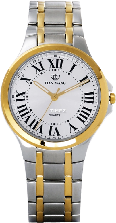 TianWang Other GS3625T-A