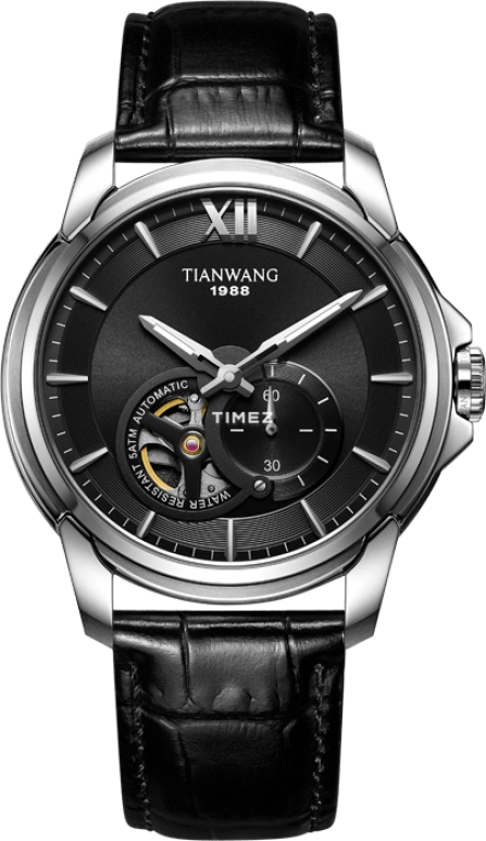 TianWang The Conqueror GS51028S.D.LB.B-1
