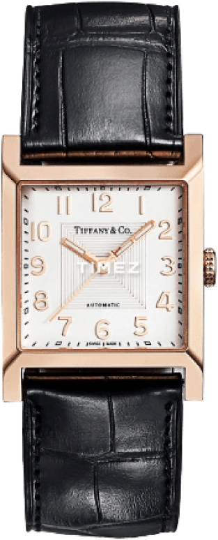 Tiffany Other 27-02