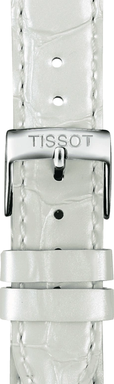 Tissot,PR 100 33mm,33mm,Stainless Steel,Silver,Quartz,Day,26280hours,T101,T101.210.16.031.00