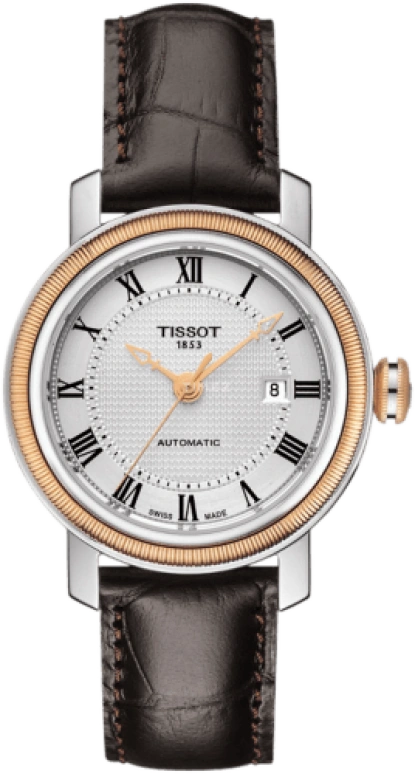Tissot,Bridgeport 29mm,29mm,Stainless Steel,Silver,Automatic,Day,38hours,T097,T097.007.26.033.00