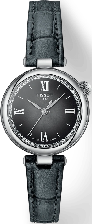 Tissot,Bellissima 28mm,28mm,Stainless Steel,Black,Quartz,Sapphire,Glass,Round,T152,T152.010.16.038.00