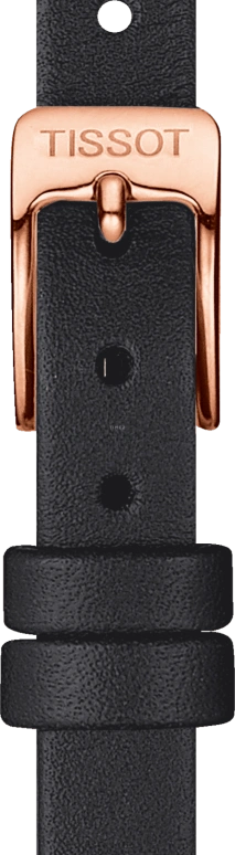 Tissot,T-Gold 22.58mm,22.58mm,Stainless Steel,Black,Quartz,26280hours,Sapphire,Crystal Glass,T113,T113.109.36.126.00