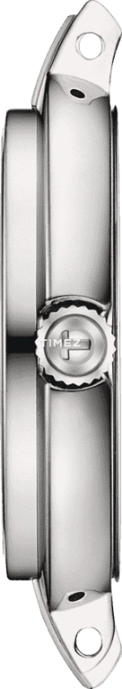 Tissot,Flamingo 30mm,30mm,Stainless Steel,Pink,Quartz,Day,26280hours,T094,T094.210.11.336.00