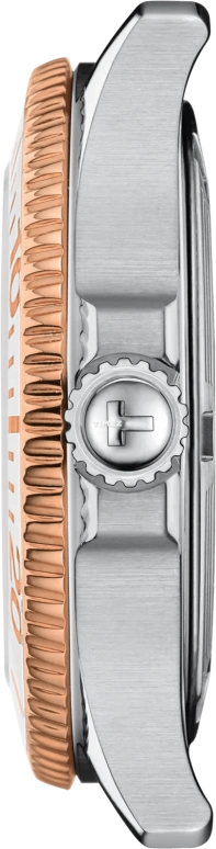 Tissot,Seastar 36mm,36mm,Stainless Steel,White,Quartz,Day,Sapphire,Crystal Glass,T120,T120.210.22.111.00