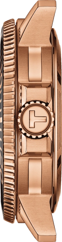 Tissot,Seastar 43mm,43mm,Stainless Steel,Black,Automatic,Day,80hours,T120,T120.407.37.051.01