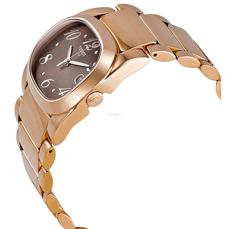 Tissot,T-Moments 28mm,28mm,Stainless Steel,Brown,Quartz,Day,26280hours,T009,T009.310.33.297.00