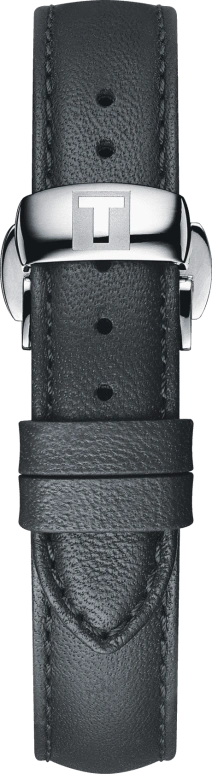 Tissot,T-Lady 29.30mm,29.30mm,Stainless Steel,Grey,Automatic,Date,48hours,T132,T132.007.11.066.01