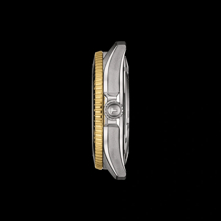 Tissot,Seastar 40mm,40mm,Stainless Steel,Grey,Automatic,Day,80hours,T120,T120.807.22.051.00