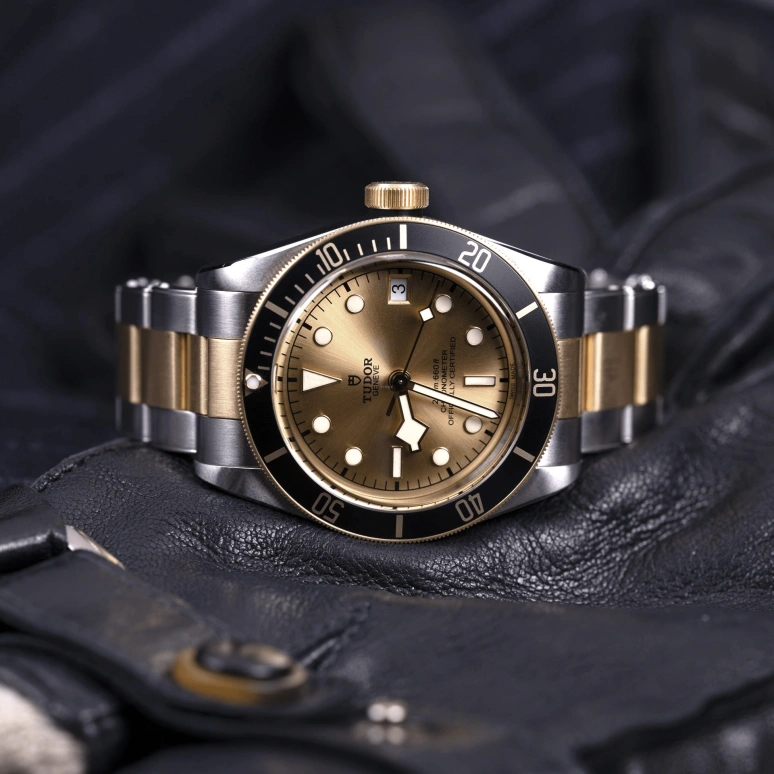 Tudor,Black Bay 41mm,41mm,Yellow Gold,Stainless Steel,Champagne,Automatic,Date,70hours,79733N,79733N-0004