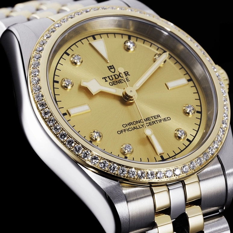 Tudor,Black Bay 31-36-39-41 36mm,36mm,Yellow Gold,Stainless Steel,Champagne,Automatic,70hours,In-house Caliber,79653,79653-0007