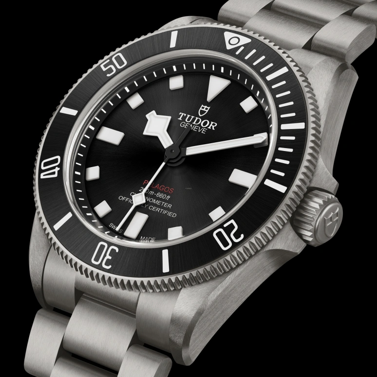Tudor,Pelagos 39mm,39mm,Titanium Gold,Luminous,Black,Automatic,70hours,In-house Caliber,25407N,25407N-0001