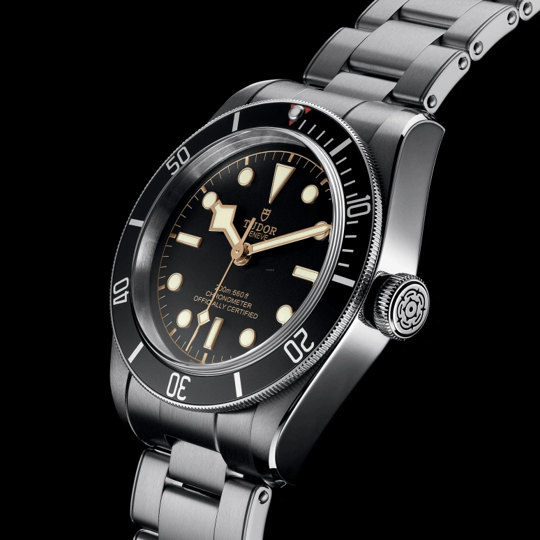 Tudor,Black Bay 41mm,41mm,Stainless Steel,Black,Automatic,70hours,In-house Caliber,79230N,79230N-0009