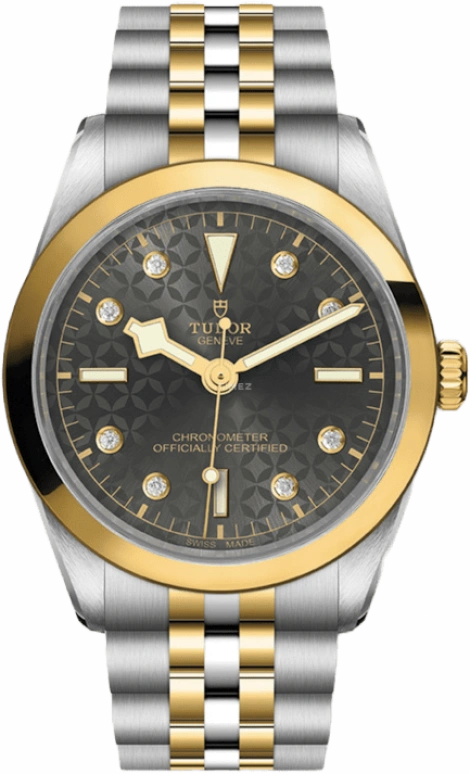 Tudor,Black Bay 31-36-39-41 36mm,36mm,Yellow Gold,Stainless Steel,Grey,Automatic,70hours,In-house Caliber,79643,79643-0003