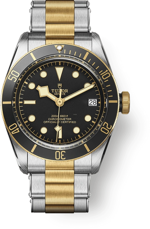 Tudor,Black Bay 41mm,41mm,Yellow Gold,Stainless Steel,Black,Automatic,Date,70hours,79733N,79733N-0008