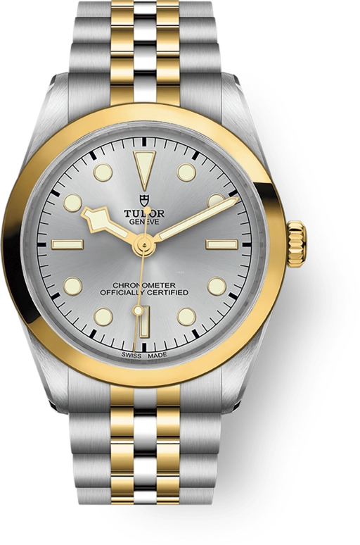 Tudor,Black Bay 31-36-39-41 36mm,36mm,Yellow Gold,Stainless Steel,Silver,Automatic,70hours,In-house Caliber,79643,79643-0002