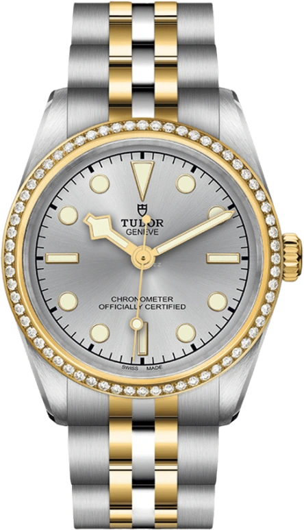 Tudor Black Bay 31-36-39-41 79613-0002