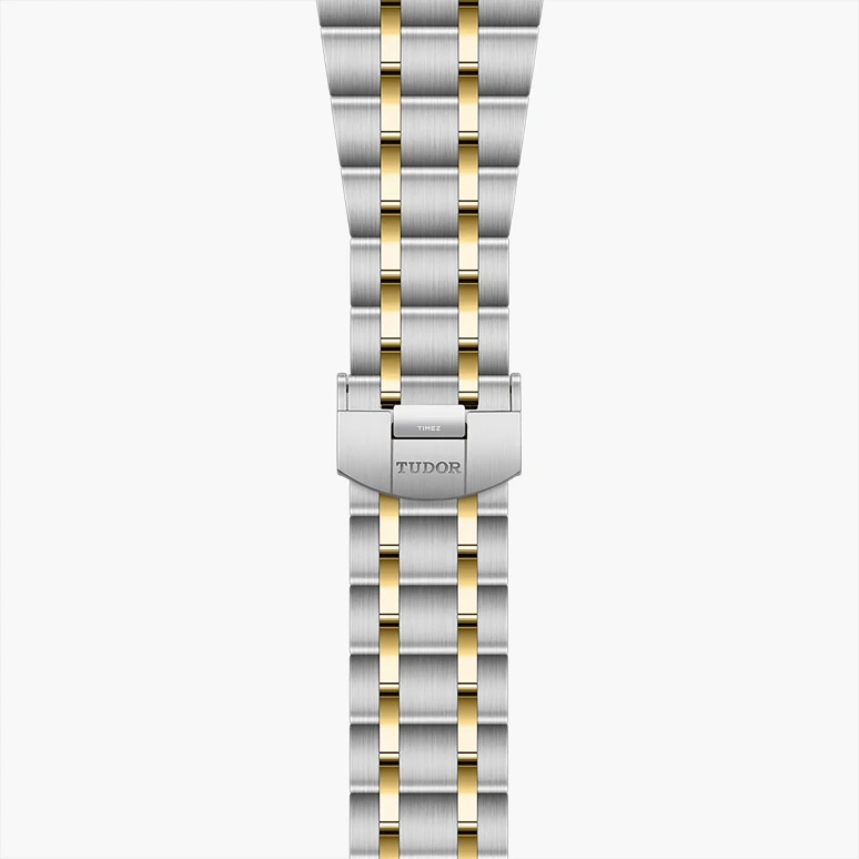 Tudor,Royal 41mm,41mm,Stainless Steel,Chocolate,Automatic,Date,Day,28603,28603-0008