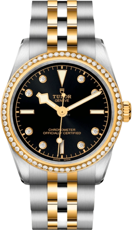 Tudor,Black Bay 31-36-39-41 31mm,31mm,Yellow Gold,Stainless Steel,Black,Automatic,50hours,In-house Caliber,79613,79613-0005