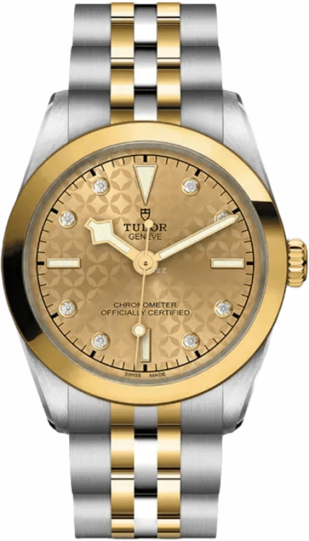 Tudor Black Bay 31-36-39-41 79603-0004