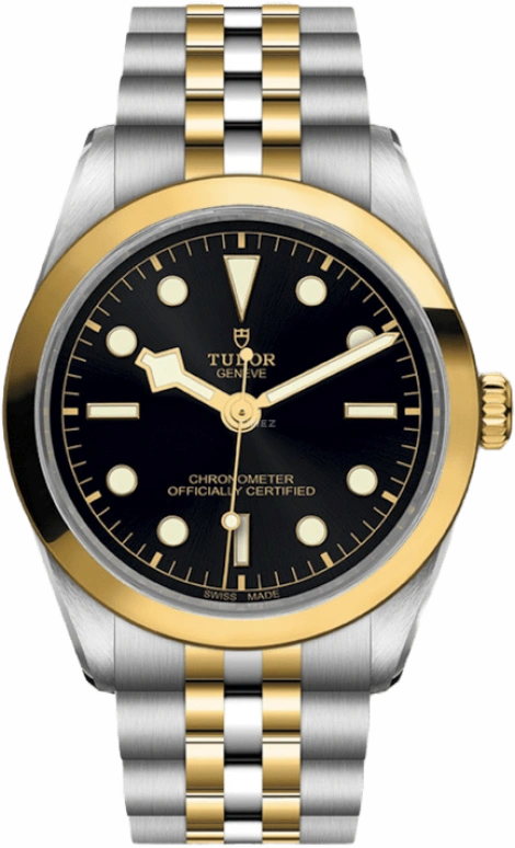 Tudor,Black Bay 31-36-39-41 36mm,36mm,Yellow Gold,Stainless Steel,Black,Automatic,70hours,In-house Caliber,79643,79643-0001