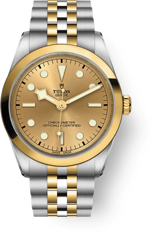 Tudor Black Bay 31-36-39-41 79643-0005
