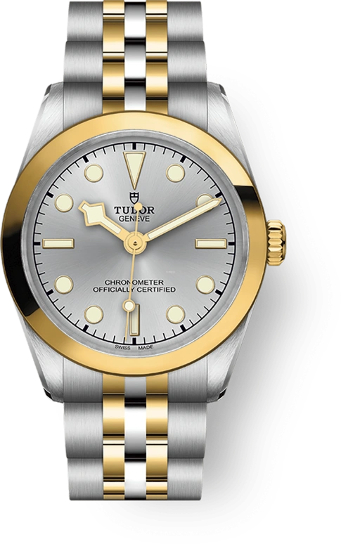 Tudor,Black Bay 31-36-39-41 31mm,31mm,Yellow Gold,Stainless Steel,Silver,Automatic,50hours,In-house Caliber,79603,79603-0002
